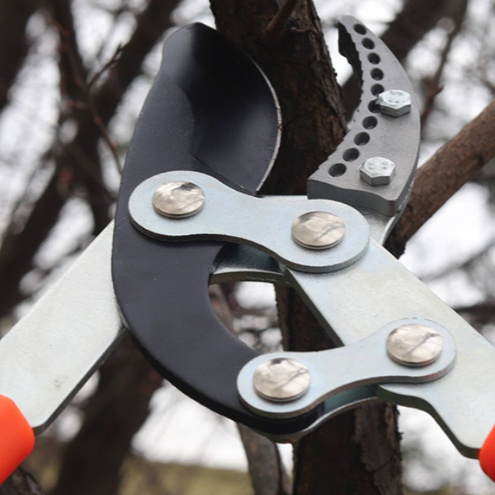 Garden Tools - Teleskopik Dal Budama Makineleri Keskin Bıçaklı