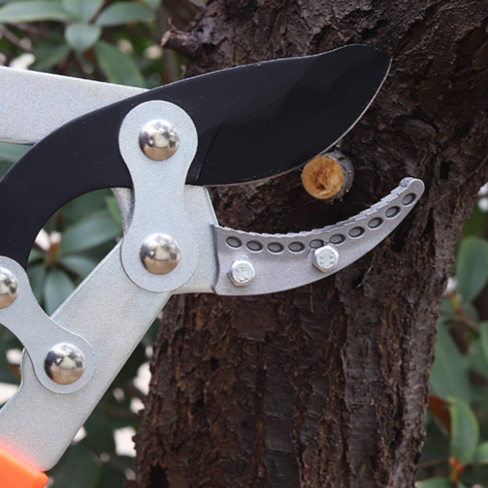 Teleskopik Dal Budama Makinele - Garden Tools incelemesi ve fiyatı